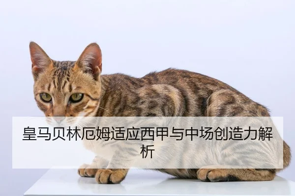 皇马贝林厄姆适应西甲与中场创造力解析